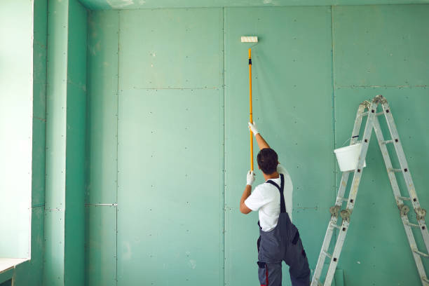 Reliable Ocoee, FL Mold Removal Solutions
