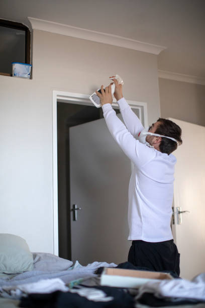 Best Emergency Mold Remediation  in Ocoee, FL