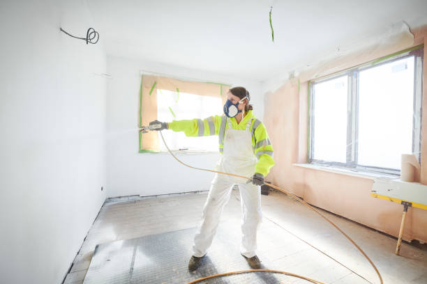 Best Mold Damage Restoration  in Ocoee, FL