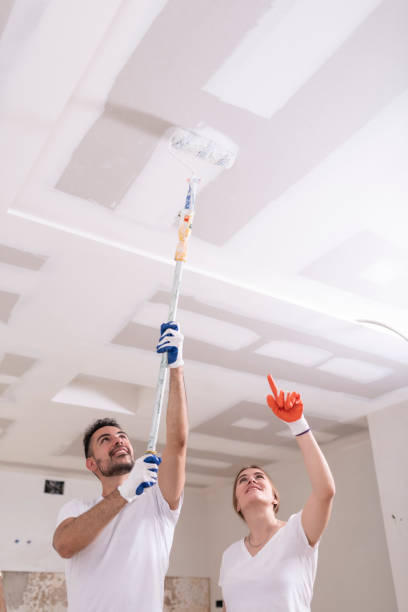 Best Residential Mold Inspection & Testing  in Ocoee, FL
