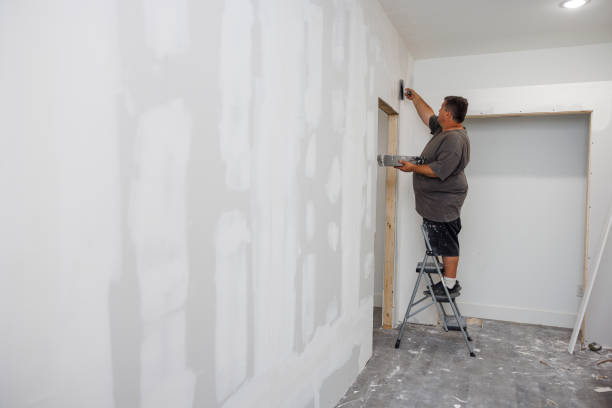 Biohazard Mold Removal in Ocoee, FL