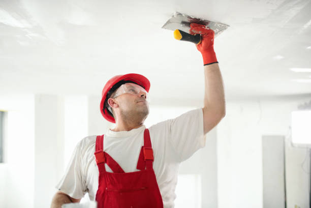 Best Commercial Mold Inspection  in Ocoee, FL