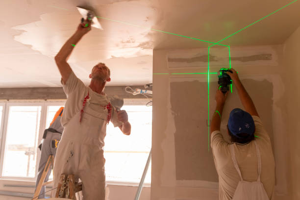Best Mold Removal for HVAC Installations  in Ocoee, FL