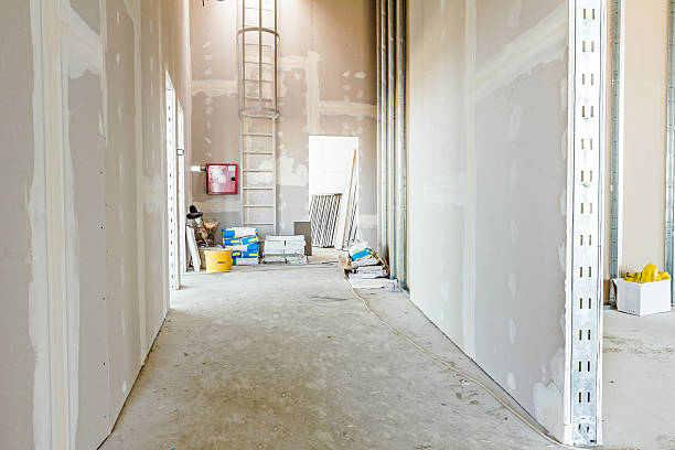 Best Biohazard Mold Removal  in Ocoee, FL