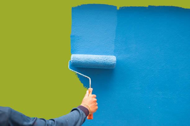 Best Black Mold Removal  in Ocoee, FL